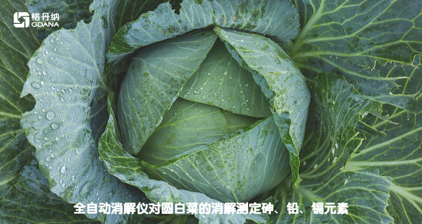 全自動消解儀對圓白菜的消解測定砷、鉛、鎘元素